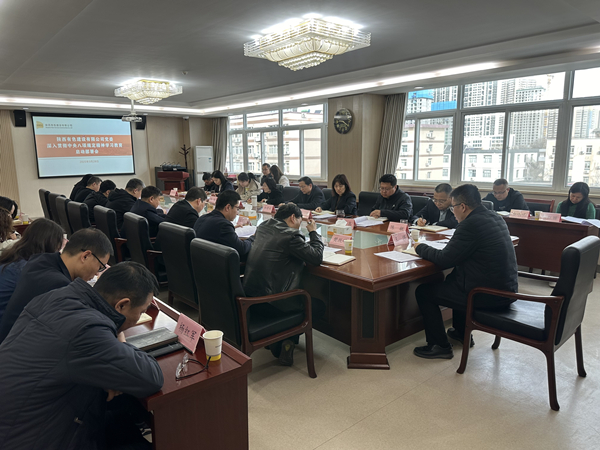 公司黨委召開深入貫徹中央八項(xiàng)規(guī)定精神學(xué)習(xí)教育啟動(dòng)部署會(huì)
